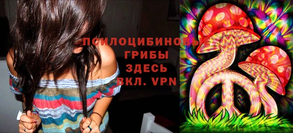 ECSTASY Краснослободск